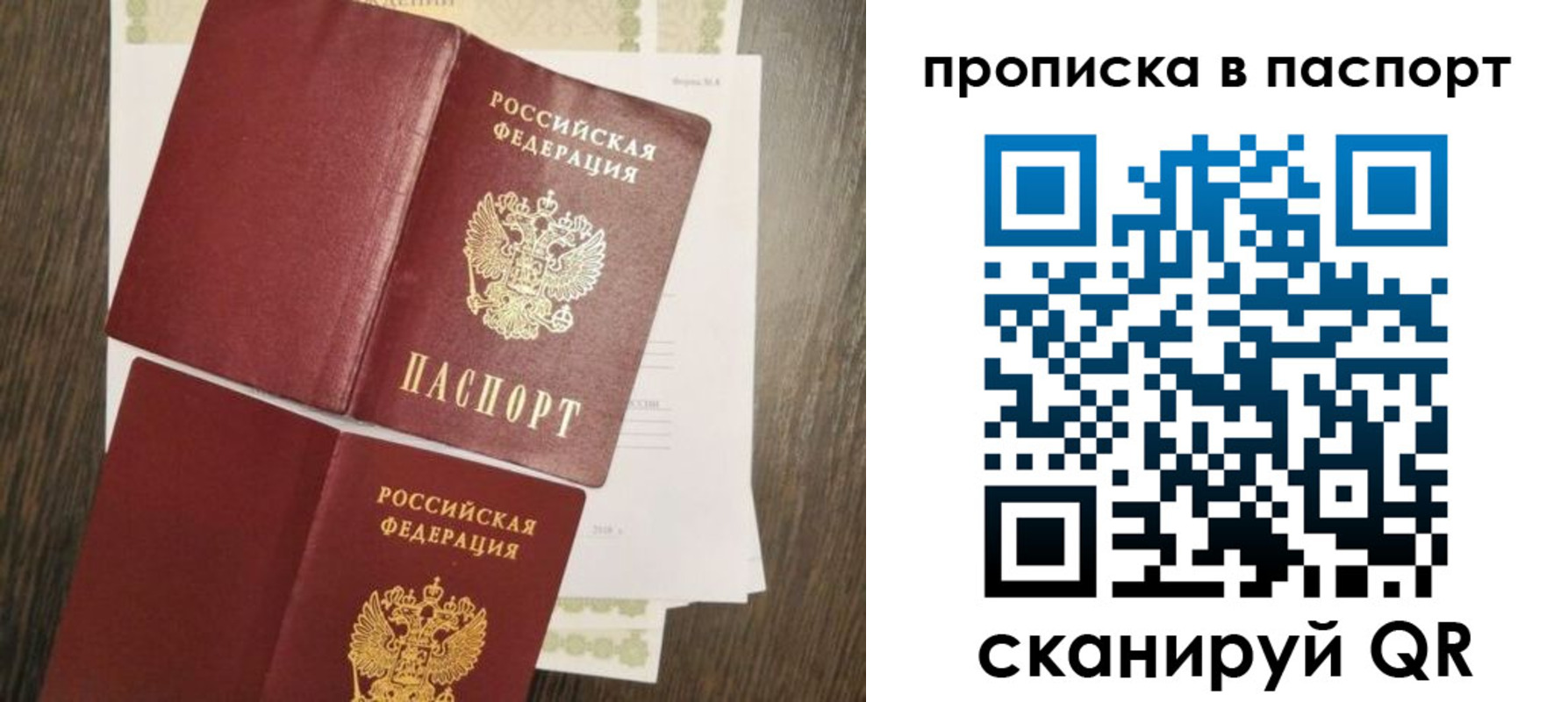прописка гарантия в Опочке