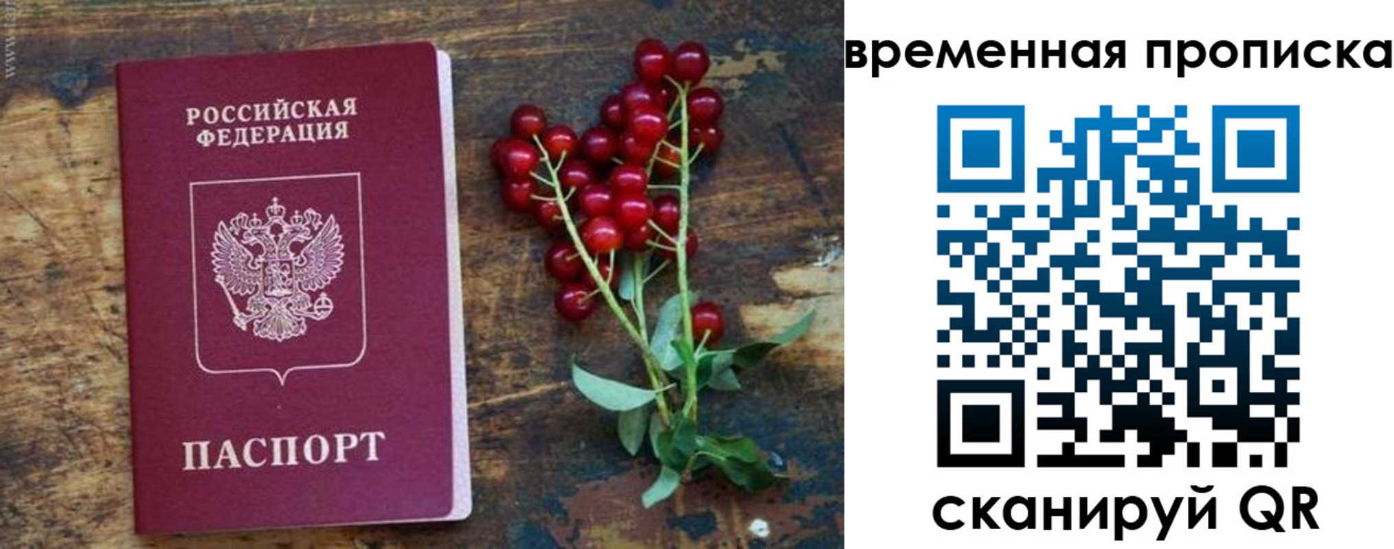 временная регистрация гарантия в Опочке